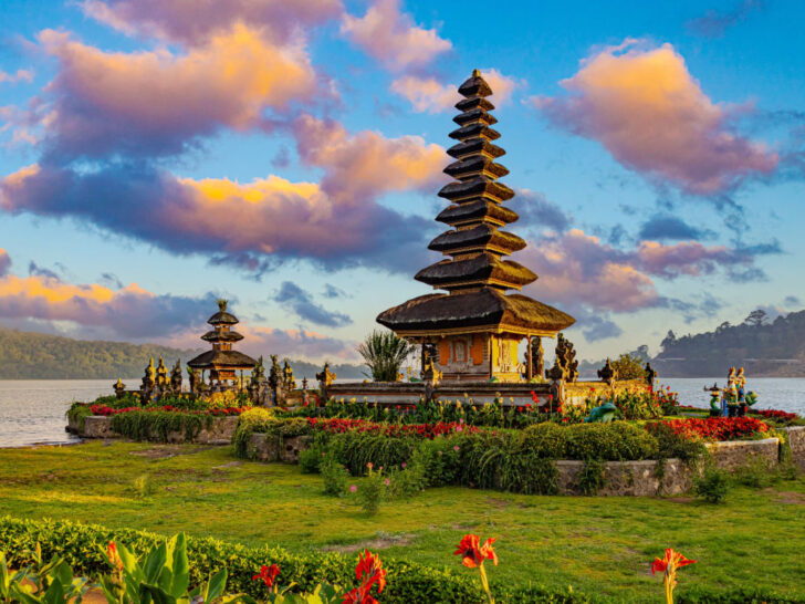 Bali Life Archives - The Bali Sun