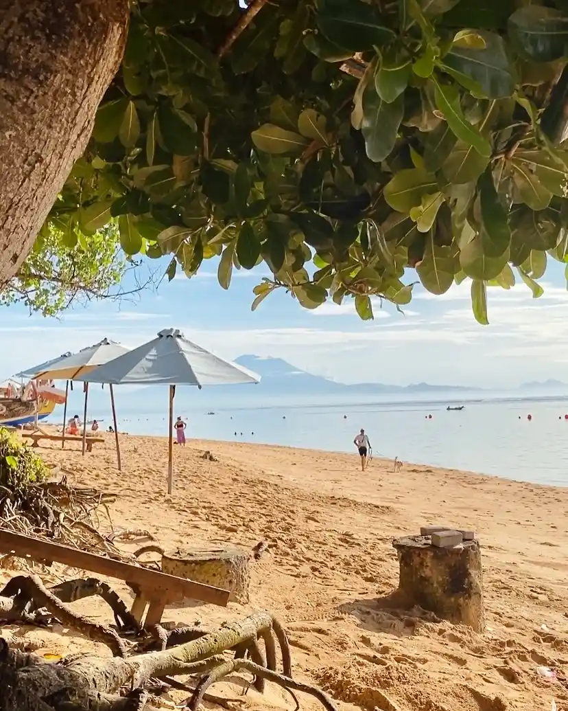 Best Time to Visit Bali in 2026: Months, Weather, & Crowds