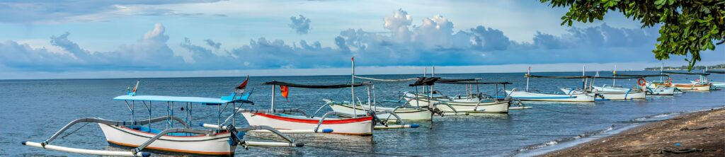 Latest News | Bali Buddies