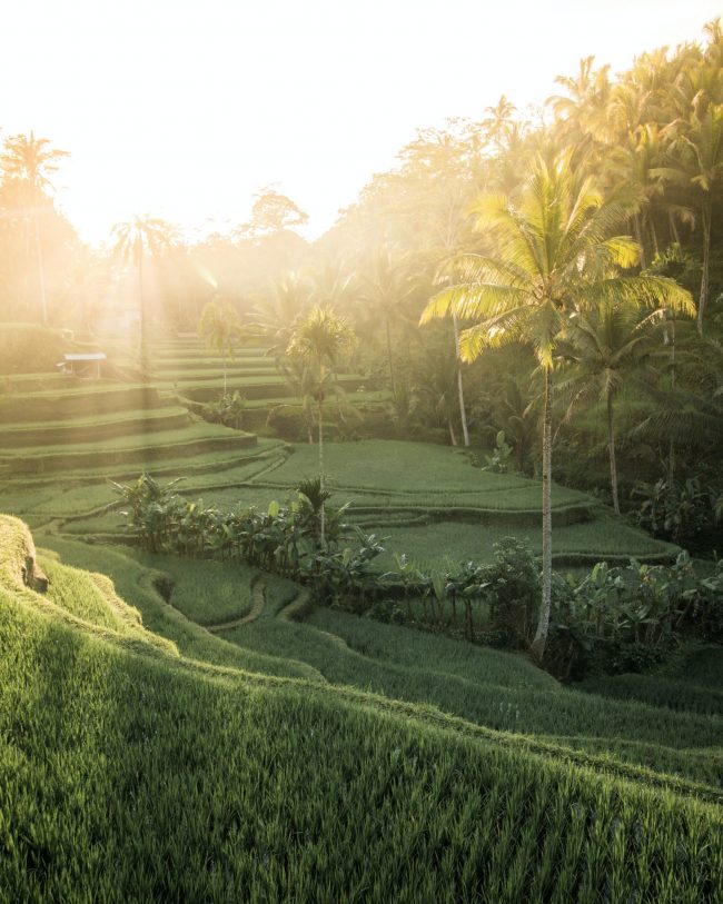 UPDATE | WHEN BALI WILL RE-OPEN TO INTERNATIONAL TOURISM