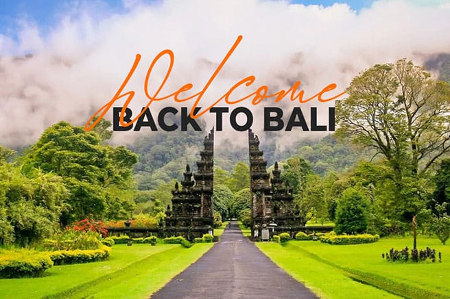 TRAVEL TO BALI RIGHT NOW! | Everything you need to know!