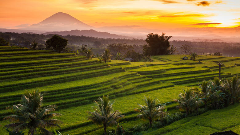 5 destinations to avoid in Bali if you hate crowds
