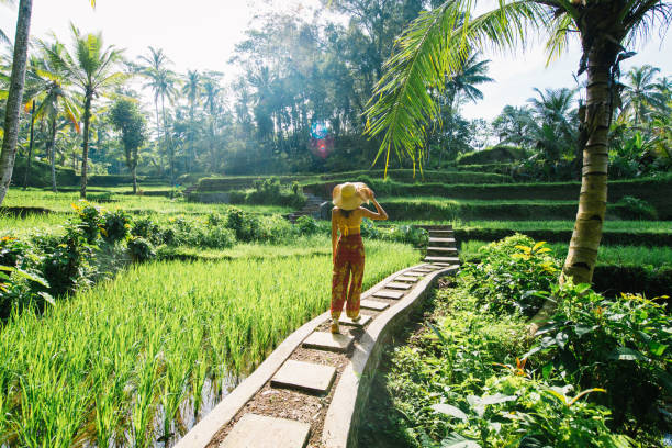 Ultimate Budget Guide for a Week in Bali