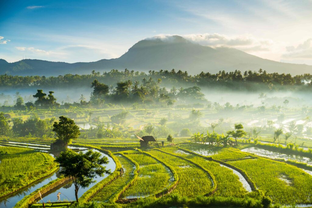 Bali Weather In February: To The Best Low Season Month